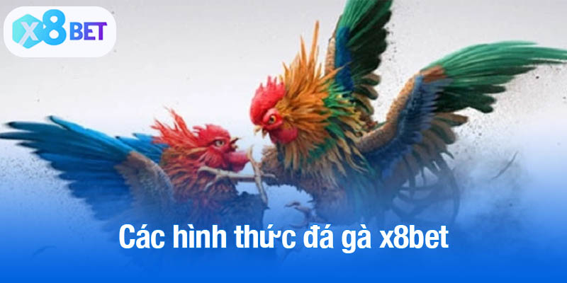 Các hình thức đá gà x8bet đáng trải nghiệm