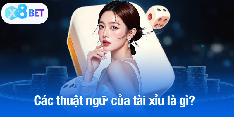 Các thuật ngữ của tài xỉu là gì?