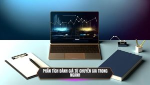 Phân tích đánh giá từ chuyên gia trong ngành